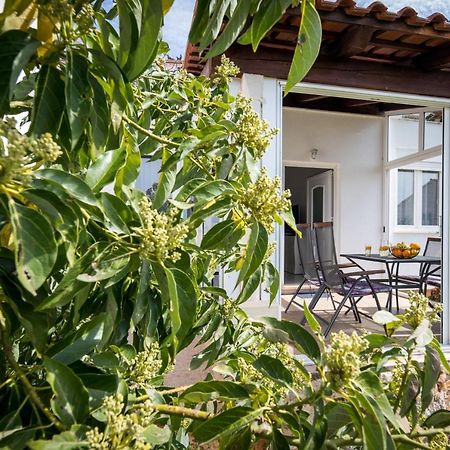 Avocado Apartment Dubrovnik Exteriör bild