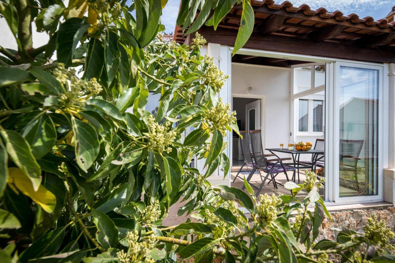 Avocado Apartment Dubrovnik Exteriör bild